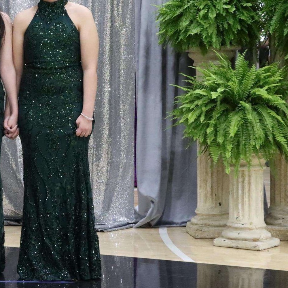 Windsor
Sandra Halter Open Back Mermaid Sequin Dress